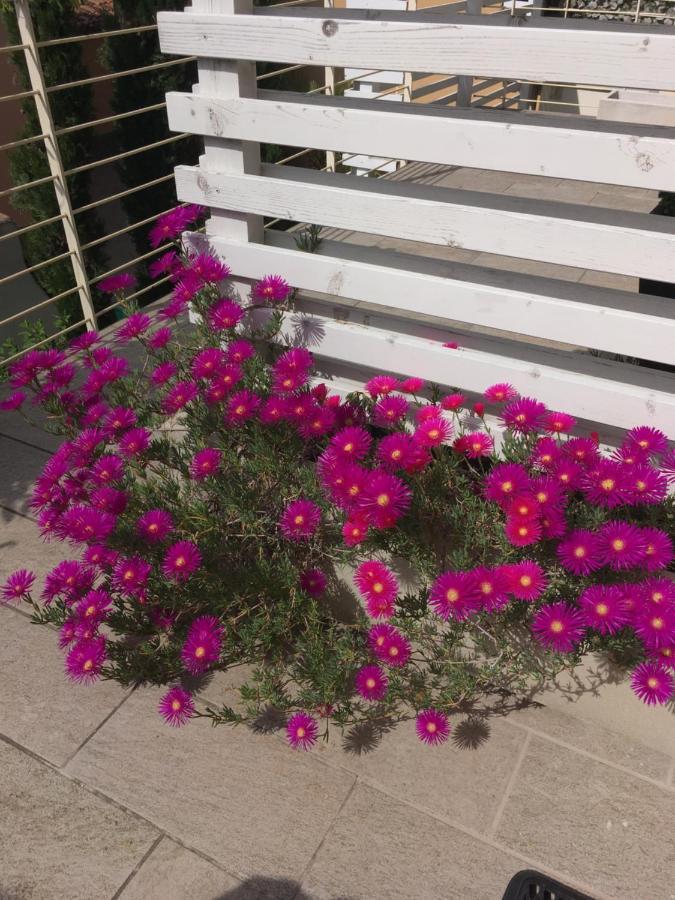 Antonella Gardalake 2 Desenzano del Garda Ngoại thất bức ảnh